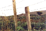 category_1.jpg